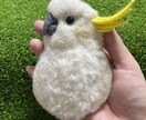羊毛フェルト大きめオウムブローチオーダー作製します 大きめでインパクト＆高級感迫力があり、リアルで可愛いです イメージ3
