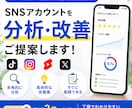 SNSアカウントの改善案を提案します プロフィールや投稿内容を客観的に分析 イメージ1