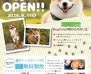 飲食店・イベントチラシ・POPデザイン制作します 毎日対応！料理やスポーツ、その他様々なジャンルで作成致します イメージ2