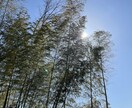 健康業界でセラピストとして15年の経験を話します 温活を通した健康法のプロが語るあなたにあった健康法を教えます イメージ3