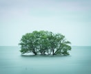 沖縄ユタ霊視タロット　お相手の気持ち感じ取ります 相手の気持ち、未来読み取り、いずれ納得、霊視、霊感タロット イメージ4