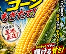 スーパー専門お客様が止まるPOPを制作します 青果歴３０年売れるPOPを作ります。 イメージ10