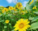 子育ての悩み聞かせてください！一緒に考えていきます 1人で悩まないで相談してくださいね。 イメージ1