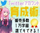 Twitterを反応多数アカに育てる手法を教えます 販売実績多数☆１万字超資料でフォロワー・反応を増す秘訣を伝授 イメージ1