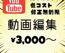 格安で動画編集いたします ずんだもんなどのボイスロイド○通常の編集や切り抜き動画○ イメージ1