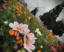 写真の加工編集しちゃいます 一瞬という特別な一幕に色付けを イメージ2