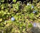 2日間、あなたの疲れを癒します あなたのお悩み、雑談、愚痴なんでも聞きます。タロット占い有 イメージ3