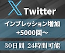 30日間インプレッション5000回～やします 5000回増加★Twitterツイート回数無制限★毎日可★ イメージ2