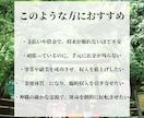 金運好転｜霊視でお金の不安を断ち財運を導きます 魂の澱みを清め、お金に愛される神域の体質へ。 イメージ2