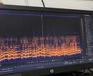 業界標準ソフトでの音源のノイズ除去致します 楽器演奏や歌、ナレーション等の音源に載ったノイズを除去 イメージ1