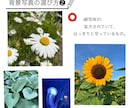 思い出のお写真の中にお好きなイラストお描きします ウェディングアイテム・記念日や誕生日にもぜひ！ イメージ9