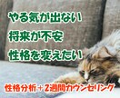 臨床心理士が「性格分析＋カウンセリング」します 人間関係、将来が不安……あなたの性格に沿った解決策を考えます イメージ1