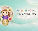 歯科医師ママと一緒に、お子さまのお口を育てます 【毎月伴走】歯×食×体×心で育む、一生モノのお口育て。 イメージ1