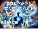 霊視✨愛しいペットの気持ちを深く霊視多角的に視ます 愛しい亡くなったペットの気持ち☆白蛇様龍神様 イメージ1