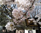 お話をしながら、心が軽くなるお手伝いをします 共感し寄り添う事で、ほっと安心出来る時間をご提供します。 イメージ1