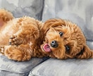 犬猫兎など！ペットのお写真を水彩画風に加工いたます プロ仕様！背景の追加や変更、ポーズの変更も可。最短2日納品！ イメージ5