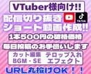配信者様向けにショート動画制作いたします 毎日投稿したいけど時間がないそんなアナタに届けたい！ イメージ1