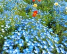 タロット&占星術お仕事のお悩み☆チャットで占います 30分チャット☆何でも質問OK☆あなたが活躍出来る場所 イメージ10