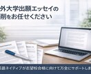 海外大学（院）出願用の英文SOP／PSを添削します 英語ネイティブ×海外名門大卒による出願エッセイ支援 イメージ1
