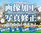 写真の画像修正承ります 「いい写真なのに、これさえなければ・・・」を叶えます! イメージ1