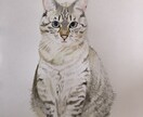 大切な家族、ペットをリアル似顔絵で描いてます リアル似顔絵は写真に近い絵です。可愛い子はさらに可愛く イメージ1