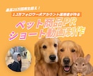 大型犬出演！ペット用品のPR用リール動画を作ります 最高25万再生の愛犬家が、縦型ショート動画を制作します イメージ1