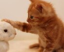眠れない、出口が見えない、どんなお話でも聞きます 眠れない、愚痴りたい、闇過ぎて辛い時貴方のお話聞きます イメージ1