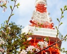 日本語⇄韓国語なんでも丁寧に通訳・翻訳します 語学の楽しさをよく分かっていますので、心を込めて尽くします！ イメージ1