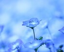 オンラインでメンタルケア心理士が伺います 時間にゆとりをもってオンラインカウンセリングします。 イメージ2