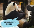 心の声・悩み・愚痴を聞きます 誰かに聞いてほしい。誰かと話したい。そんな相手が必要な方へ イメージ1