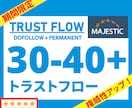 超格安でトラストフローTF30以上にアップさせます ☆限定価格☆TF35-40以上へのアップグレードオプション有 イメージ1