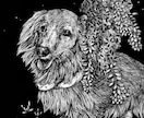 クールなペン画でペット肖像画お描きします お好きなモチーフと一緒に、ペットちゃんをお描きします。 イメージ1