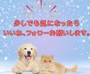 初心者向けショート動画×音楽収益の稼ぎ方教えます 登録者０でも収益化！AIとテンプレで爆速量産！ イメージ9