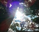 あなたの癒しと目覚めをサポートします あなたの真の豊かさと愛につなげるお手伝い♫ イメージ6
