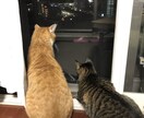 ドロップアウトした方の支援をしています 将来に悩みを抱えている方、お気軽にどうぞ イメージ4