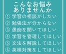 英語学習のお悩み相談を格安で引き受けます 経験豊富な「現役英語講師」が幅広い質問にお答えします！ イメージ2