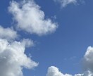 一緒に暮らしていた動物の供養します 動物の供養をしたい方、そしてあなたの感謝の気持ちを伝えます。 イメージ1