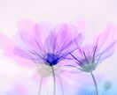 即答します 即答でお悩みに視させていただきます。 イメージ1