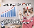 プロの目線でInstagramを添削します アカウントが伸びない理由をしっかりと分析します。 イメージ1
