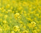 いつでもあなたのとなりにいます 大丈夫、あなたはひとりじゃないですよ。 イメージ1