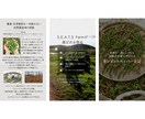 インスタグラム投稿用画像（フィード）作成を承ります 2枚1000円と格安！継続依頼大歓迎！ イメージ3