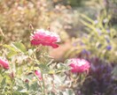 否定拒絶なし◎孤軍奮闘するあなたの心、楽にします 諦められない恋、自慢話やノロケ話、ストッパーなしで話そうよ✨ イメージ4
