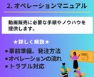 動画販売ビジネスのノウハウをすべて教えます 【マニュアル&サポートあり】【本気の副業】【YouTube】 イメージ4