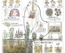 ご活動のコンセプトを表現した絵を描きます 環境へのご配慮や生態系との関わりなどを、わかりやすく描きます イメージ2