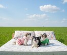 あなたの深層心理から、夢のお手紙届いております 夢占い、深層心理からのメッセージを優しく鑑定します！ イメージ3