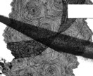 独特で緻密なモノクロ絵画描きます ミリペンという極細ペンなどを利用した，絵画作品です。 イメージ2