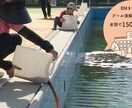 微生物の知識やご自宅での活用方法をレクチャーします 自然由来の善玉菌をご自宅での活用方法などのレクチャー イメージ1