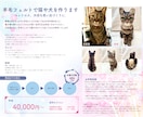 ペットロスに。羊毛フェルトで猫や犬を作ります 大切な思い出を羊毛フェルトのぬいぐるみにして残しませんか？ イメージ2