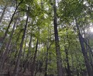 魂の覚醒を進める皆神山ヒーリングをします 皆神山から遠隔でエネルギーをお送りします。 イメージ5