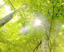 本当の自分を知っていますか？才能と人生を深く視ます 才能開花・人生好転へ導く占い。仕事・就職・転職・起業・独立も イメージ7